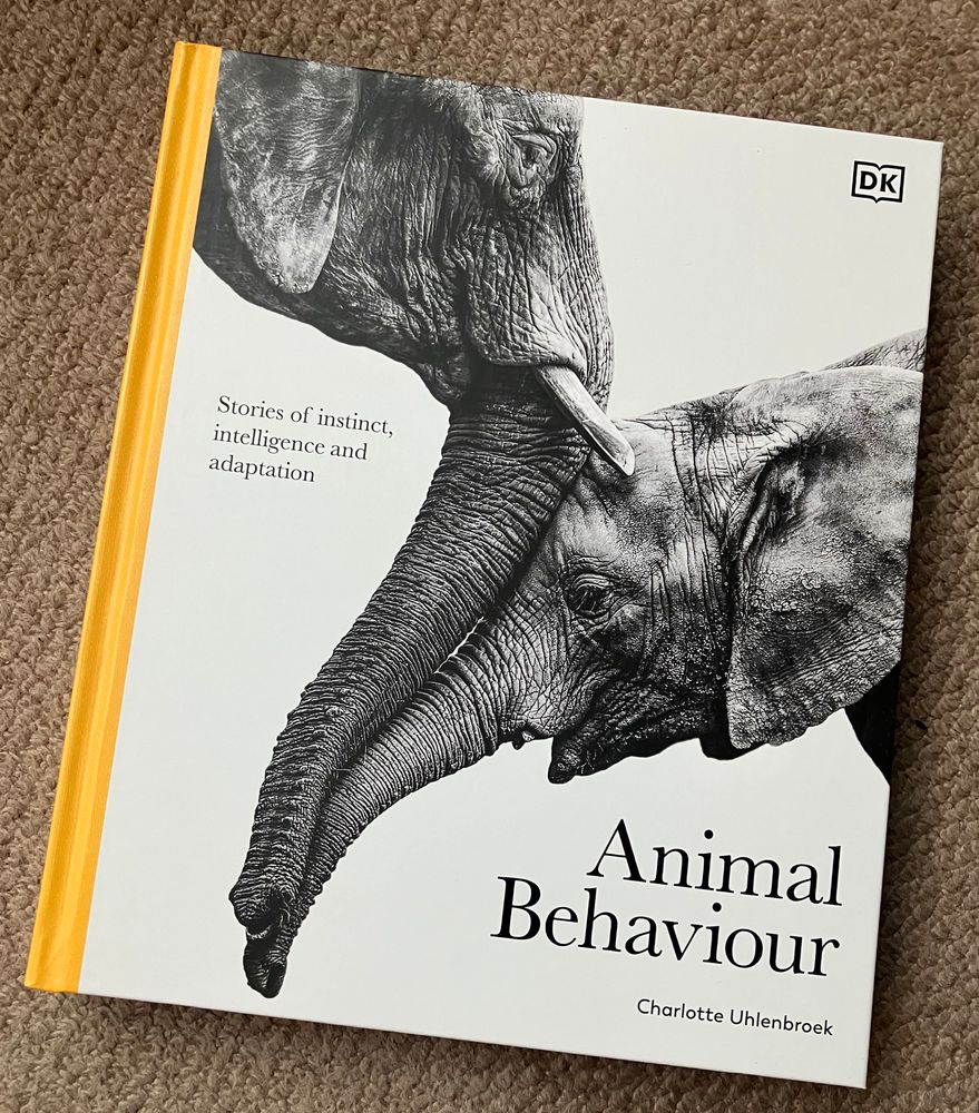 Front cover of 'Animal Behaviour', freshly published by Dorling Kindersley. Cover shows an adult elephant touching heads with an elephant calf.
