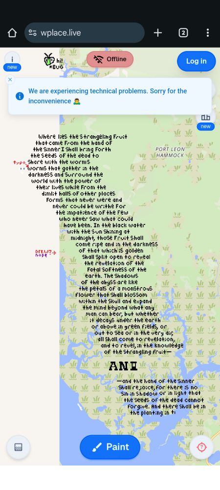 A screenshot of a wplace screen. The text that I've been writing there fills a very large portion of the screen