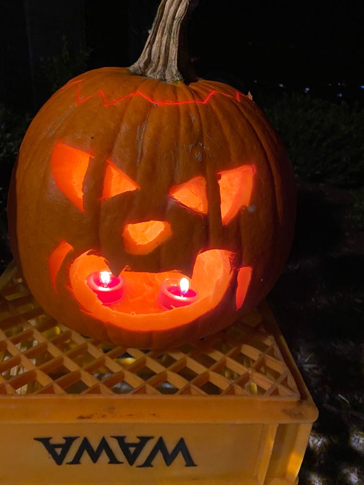 Cat? Pumpkin