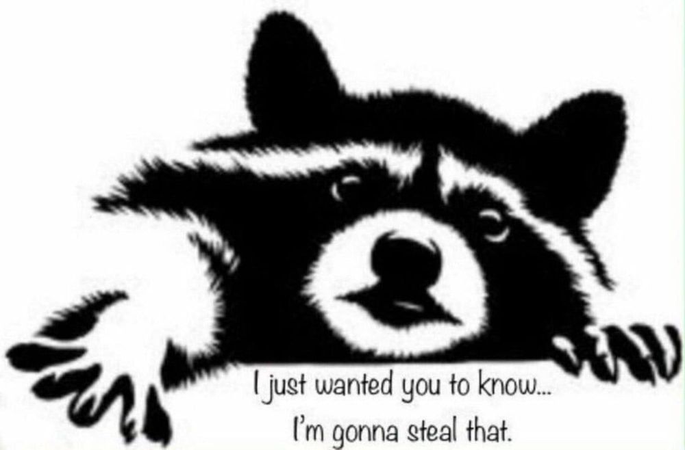 Raccoon reaching towards the reader saying, "I just wanted you to know... I'm gonna steal that." 