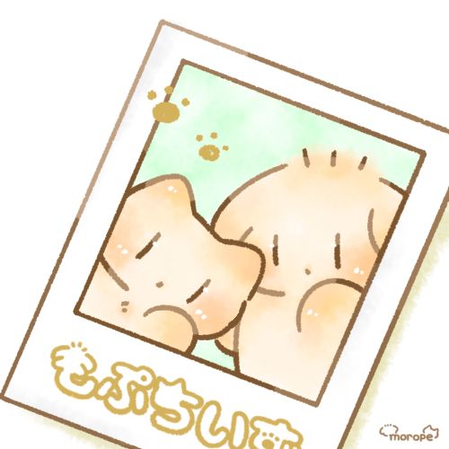 もうダメ (@opjm.bsky.social) — Bluesky