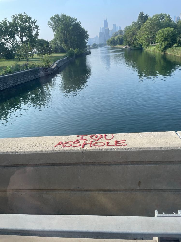 a view of the Chicago skyline from Lincoln Park, “I ❤️U ASSHOLE” written in thick strands of ketchup 