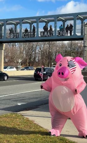Person in a Pig costume in front of an overpass with letters spelling out:
Boycott Amazon