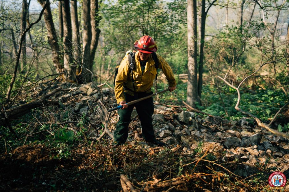 Picture of firefighter working on fire.