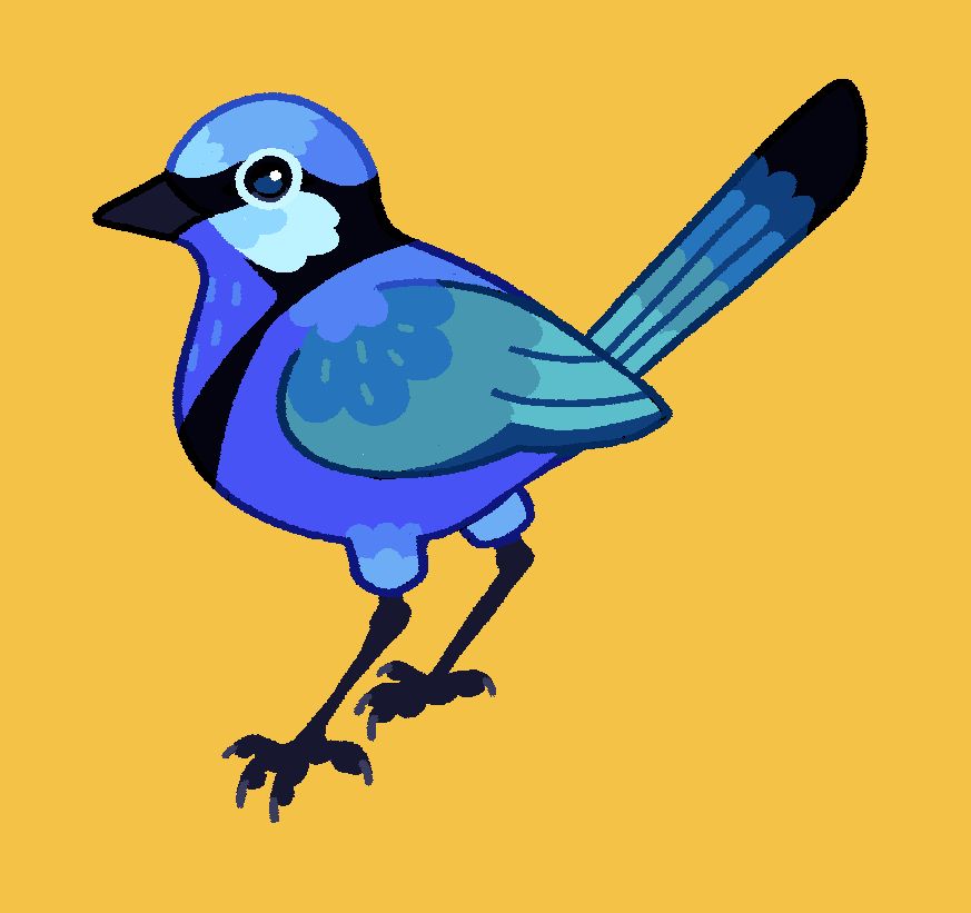a simplistic illustration depicting a splendid fairy wren (a small blue and black bird) on a yellow background. the wren is posed with one foot out, and it is looking at the viewer