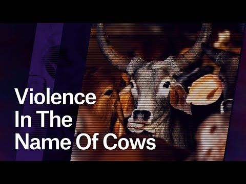 Violence In The Name Of Cows