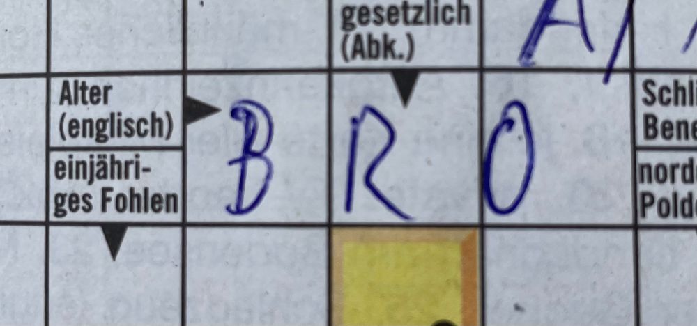 Ausschnitt eines Kreuzworträtsels: "Alter (englisch)" mit drei Buchstaben. Die eingetragene Antwort ist: "BRO"