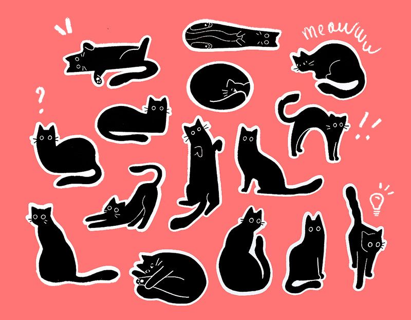 15 cat illustrations on a bright pink background