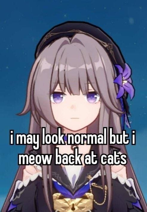 Anime girl looking at you. caption says "I may look normal but I meow back at cats" 