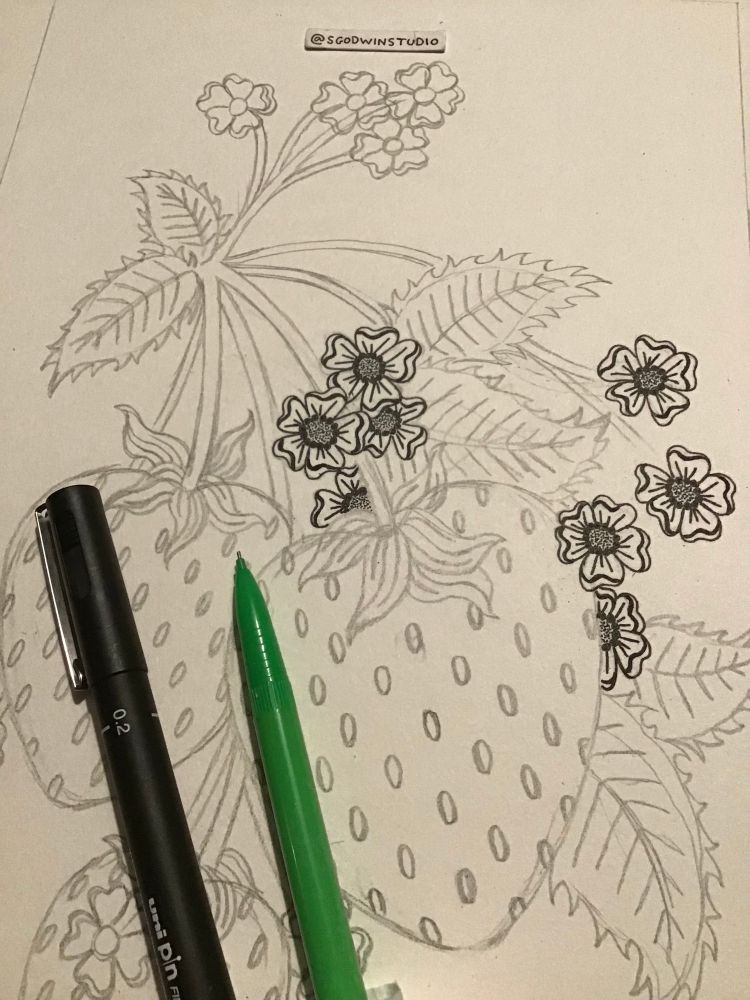 Strawberry sketch.