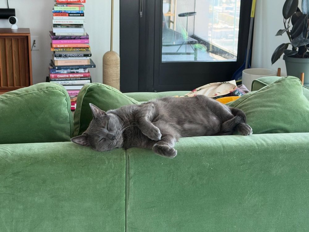 Cat fast asleep on a green couch