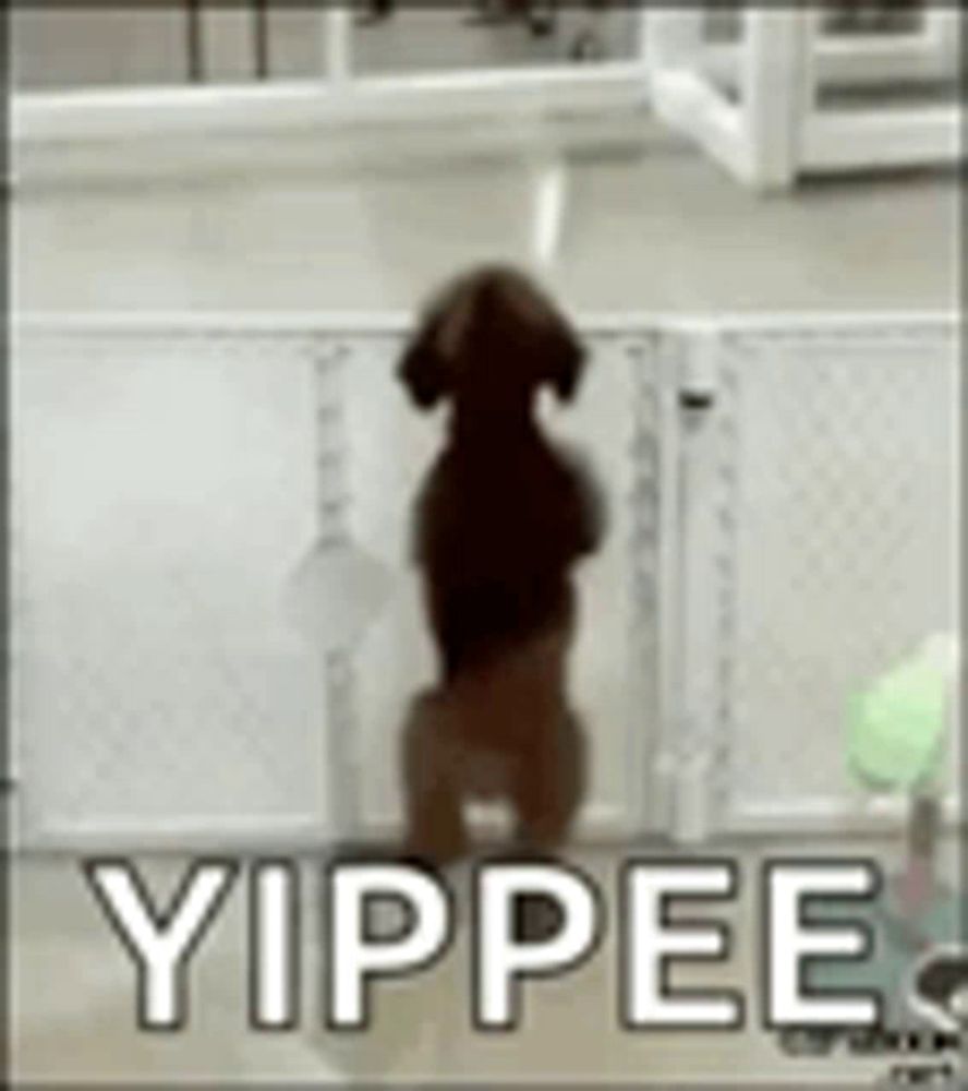 a dog is standing on its hind legs in front of a fence with the words yippee written on it .