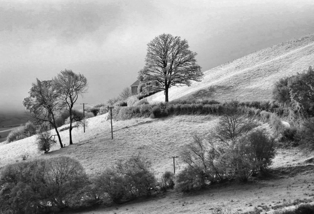 A road curves along the side of a hill, with the files containing trees and telegraph poles. The sky is grey and gloomy.