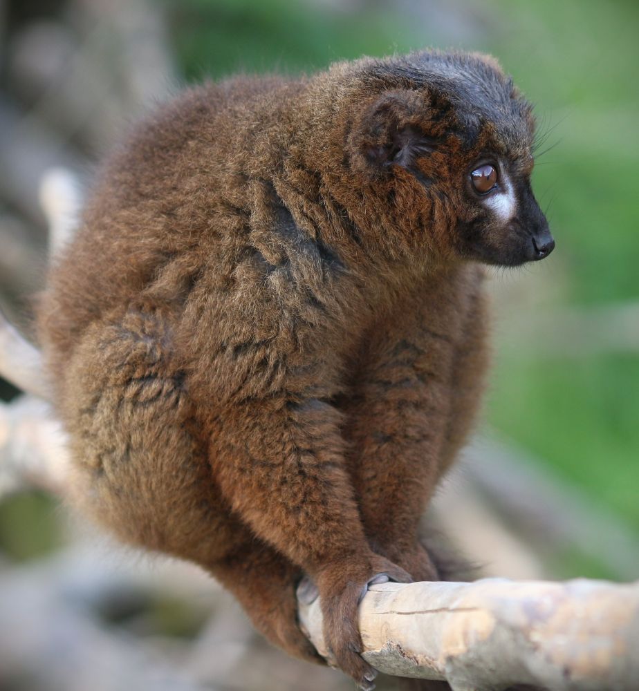 Full body, turned to left.