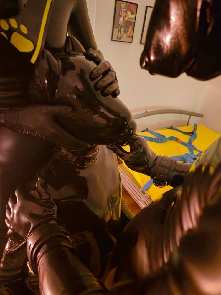 Drone used by two rubber wolfs
