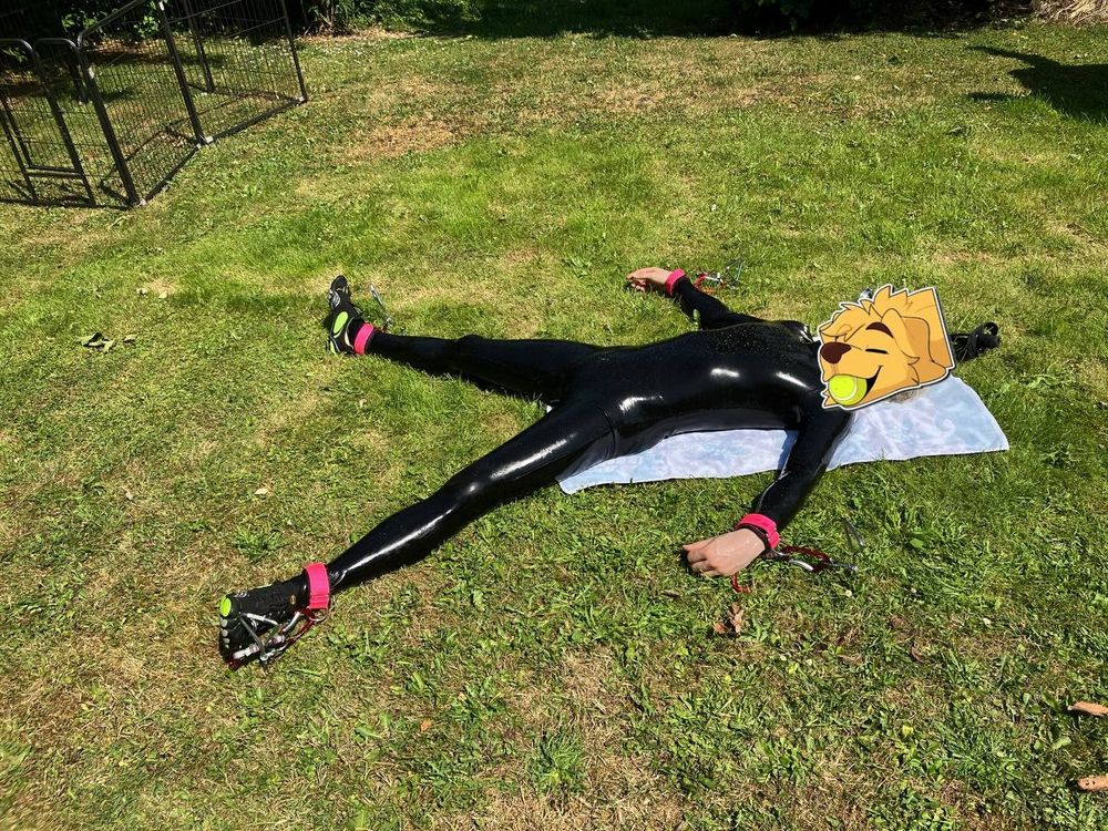 A person wearing a full Body Latex catsuit is spread eagled to the ground in the bright sun on a hot  summer day