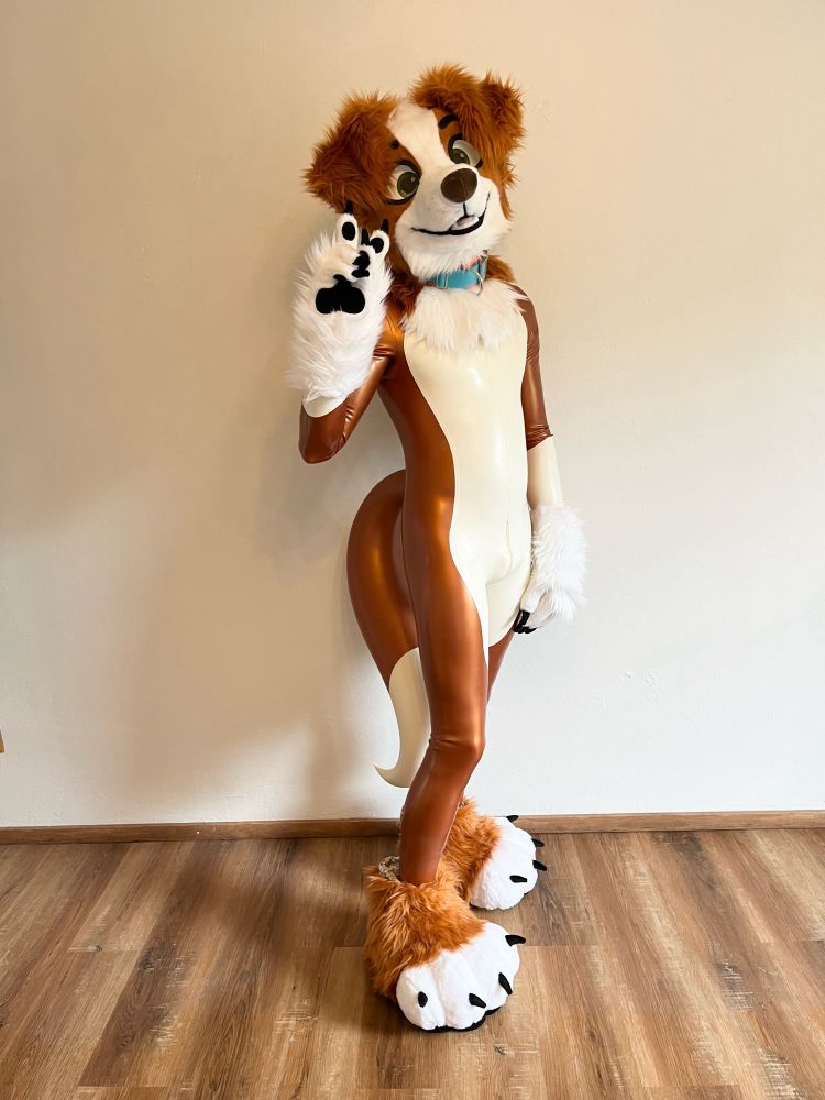 Combination of fursuit head with a latex catsuit