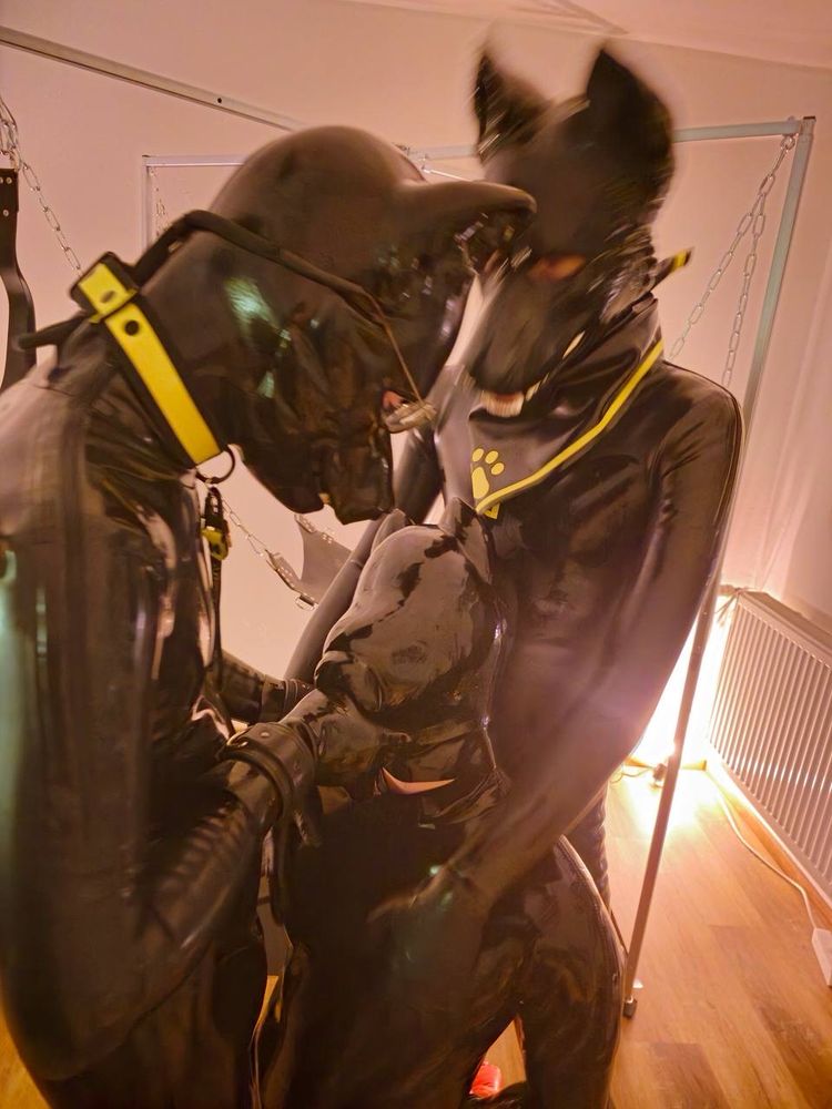 Drone used by two rubber wolfs