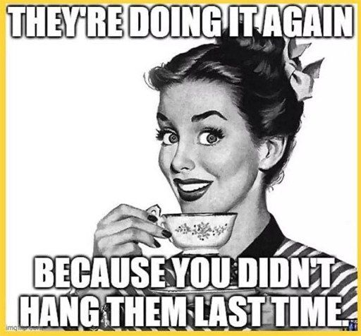 The image is a black and white illustration of a woman with a vintage style, reminiscent of mid-20th century advertisements. She is smiling and holding a teacup with a saucer. Her hair is styled in an updo with a bow, and she is wearing what appears to be a striped top.

The text on the image is in bold, white capital letters with a black outline. It reads: "THEY'RE DOING IT AGAIN BECAUSE YOU DIDN'T HANG THEM LAST TIME." 