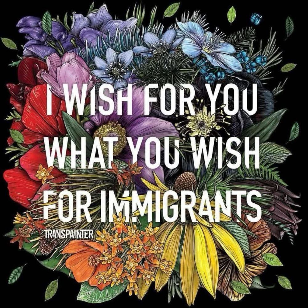 The image features a vibrant bouquet of various flowers, including red, purple, blue, yellow, and orange blooms, with green leaves and stems. The flowers are densely packed, creating a colorful and lively arrangement against a black background. 

Overlapping the floral design is bold white text that reads: 

"I WISH FOR YOU WHAT YOU WISH FOR IMMIGRANTS"

The text is prominent and stands out clearly against the colorful backdrop. At the bottom, the word "TRANSPAINTER" appears, likely indicating the artist or creator of the image.
