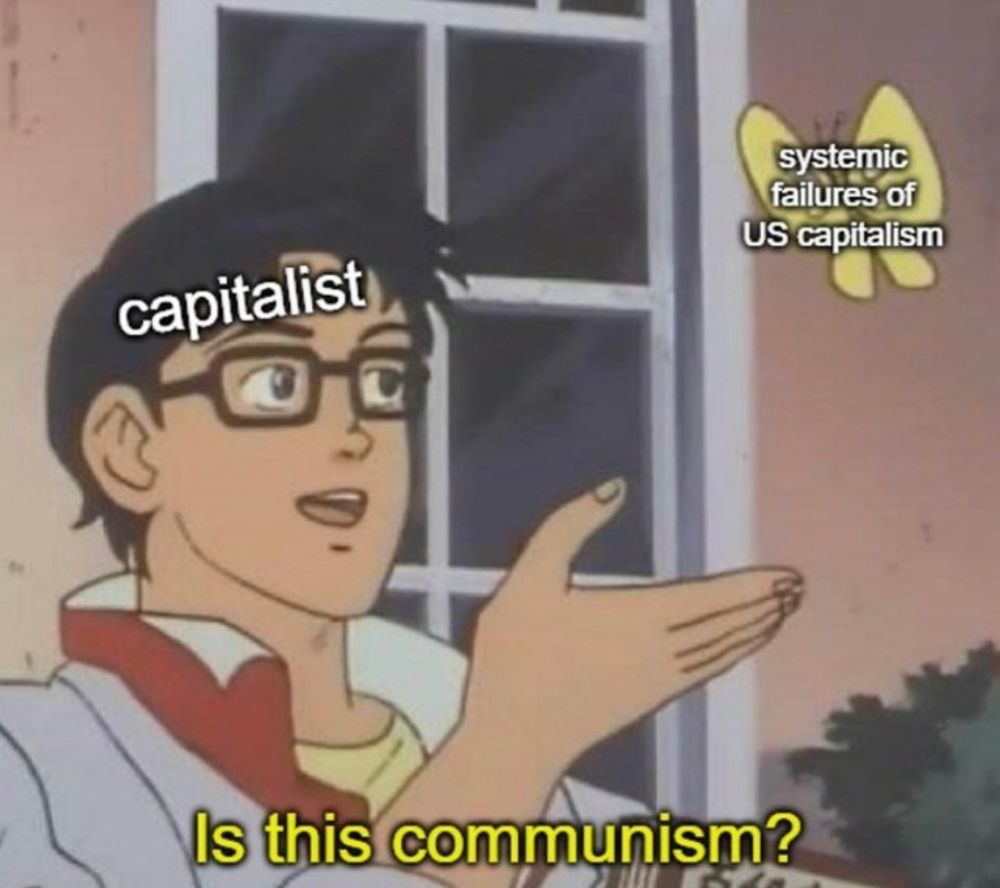 The image is a meme based on the "Is this a pigeon?" format. It features a character from an anime holding out their hand towards a butterfly. In this version:

- The character is labeled "capitalist."
- The butterfly is labeled "systemic failures of US capitalism."
- The caption at the bottom reads "Is this communism?"
