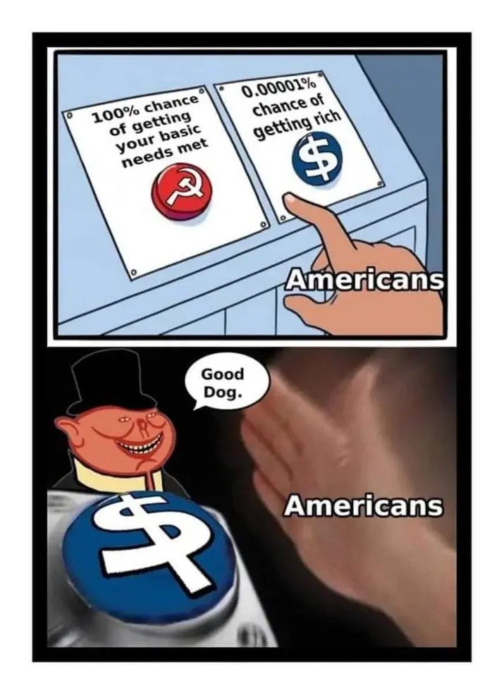 The image is a two-panel comic meme.

Top Panel:
- There are two buttons on a panel. 
- The left button has a red background with a hammer and sickle symbol, labeled "100% chance of getting your basic needs met."
- The right button has a blue background with a dollar sign, labeled "0.00001% chance of getting rich."
- A hand labeled "Americans" is pressing the button with the dollar sign.

Bottom Panel:
- A cartoon character with a top hat and a smug expression is patting the head of a figure labeled "Americans."
- The character has a speech bubble saying "Good Dog."
- The patting suggests a condescending reward for choosing the blue button.
