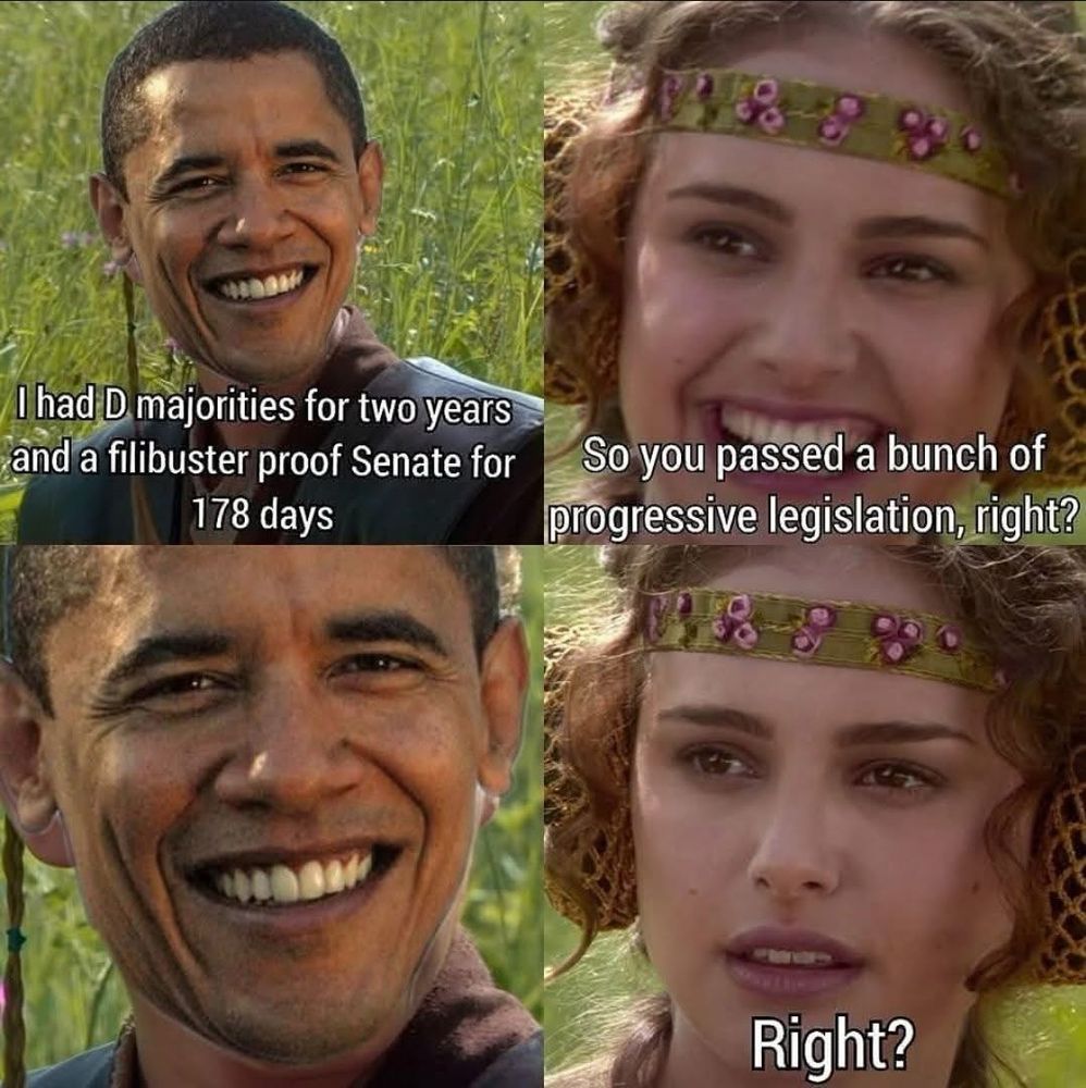 The image is a four-panel meme featuring two characters in a dialogue format. 

1. Top Left Panel: in the first picture, Obama is smiling, with text that reads, "I had D majorities for two years and a filibuster-proof Senate for 178 days."

2. Top Right Panel: The second character is smiling, with text that reads, "So you passed a bunch of progressive legislation, right?"

3. Bottom Left Panel: A close-up of the first character, Obama, still smiling.

4. Bottom Right Panel: A close-up of the second character, now with a more serious expression, with text that simply says, "Right?"