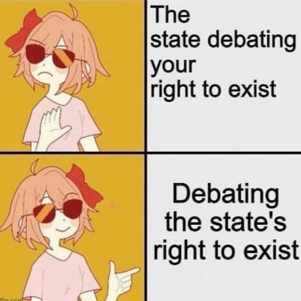 The image is a two-panel comic featuring an anime-style character with pink hair and sunglasses. 

- Top Panel: The character looks displeased, with one hand raised as if stopping or rejecting something. The text reads, "The state debating your right to exist."

- Bottom Panel: The character appears more relaxed and confident, pointing with one finger. The text reads, "Debating the state's right to exist."
