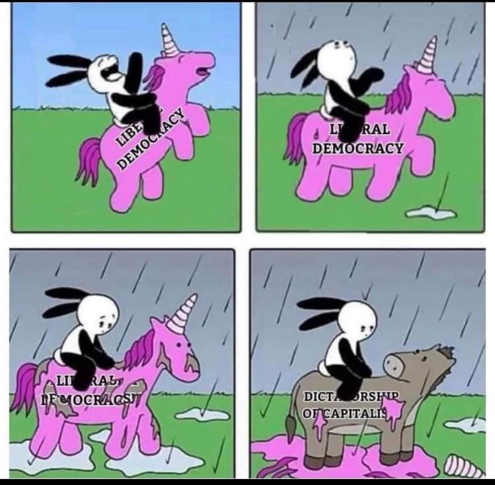 The image is a four-panel comic featuring a cartoon character riding a unicorn. 1. Top Left Panel: The character, a black and white cartoon figure, is joyfully riding a vibrant pink unicorn with the words 