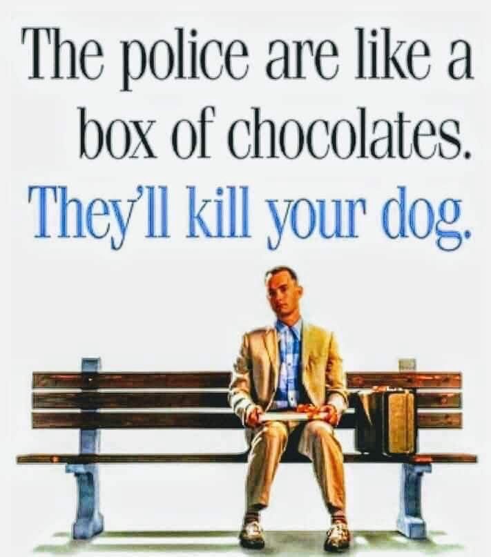 The image features a humorous and dark twist on a famous quote. At the top, there's text that reads: "The police are like a box of chocolates. They'll kill your dog." Below the text, there's an illustration of Forrest Gump sitting on a bench, dressed in a suit and holding a box of chocolates 