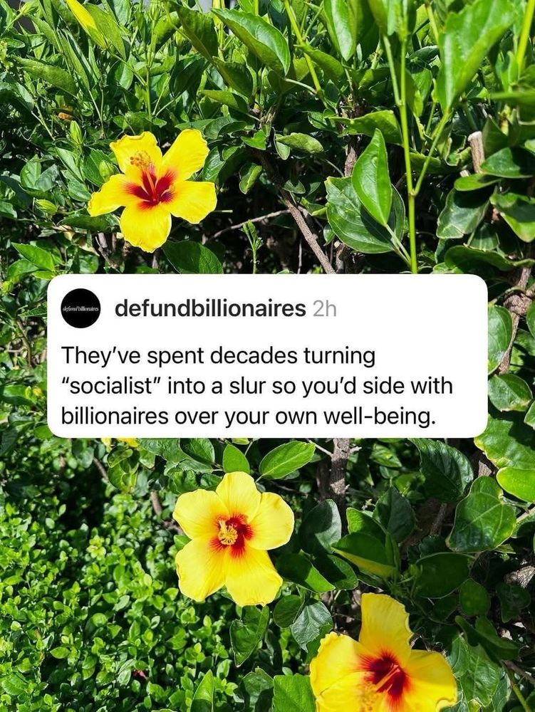 They've spent decades turning
"socialist" into a slur so you'd side with billionaires over your own well-being.