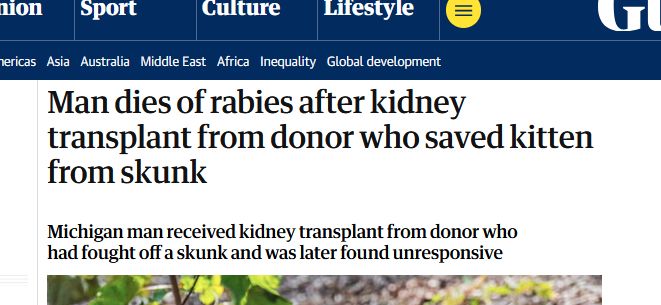 Screenshot of Guardian article with the headline: Man dies of rabies after kidney transplant from donor who saved kitten from skunk