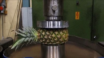 A gif of a machine press crushing a pineapple. Juice squirts out the bottom of the pineapple. This definitely doesn’t remind anyone of their werewolf boyfriend. 