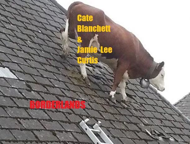 foto de uma vaca marrom e branca em cima de um telhado.
sobre a vaca, há a legenda: "cate blanchet & jamie lee curtis", em fontes amarelas.
sobre o telhado, outra legenda diz: "borderlands", em fontes vermelhas.