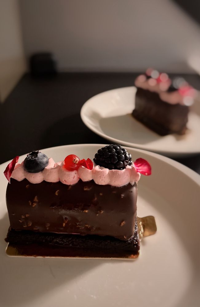 Kaksi suorakaiteen muotoista suklaaleivosta, joiden päällä vaaleanpunaista kreemiä, mustikka, punainen viinimarja ja karhunvatukka. 