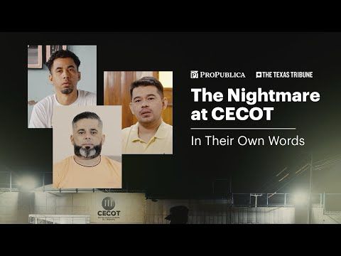 Beatings, Humiliation, Psychological Abuse: What Venezuelan Men Experienced Inside CECOT