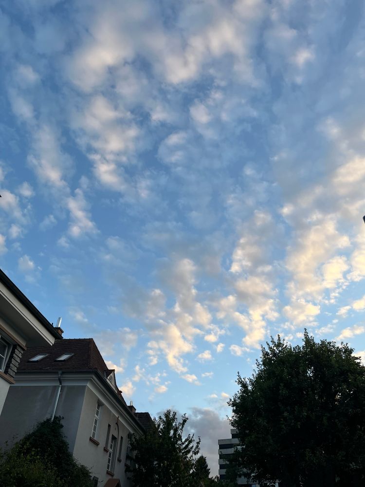 wie hingetupft wirkende wolken an blauem himmel, dazu an den rändern häuserdächer und bäume