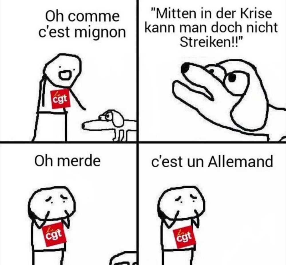 vierteiliges meme auf französisch mit einem strichmännchen der einen hund streichelt der hund sagt dann mitten in der krise kann man doch nicht streiken und das männchen sagt oh scheiße es ist ein deutscher