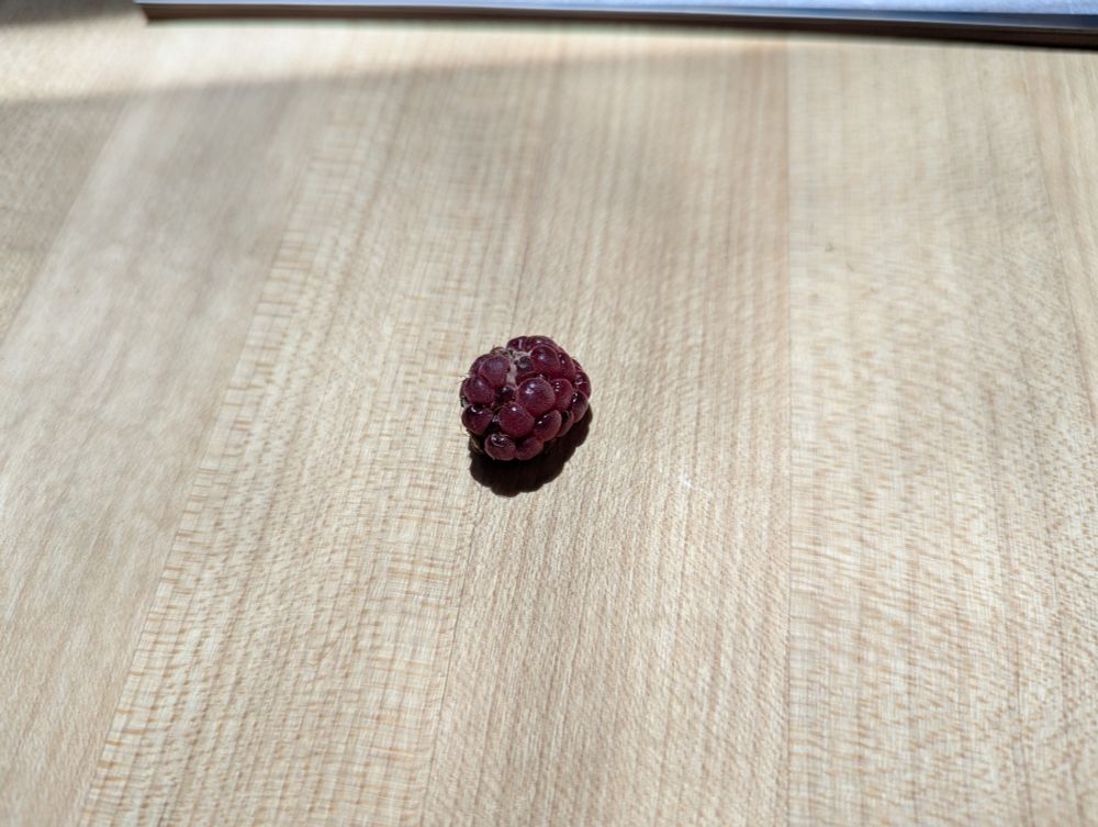 A lone raspberry sitting on a wooden table.
