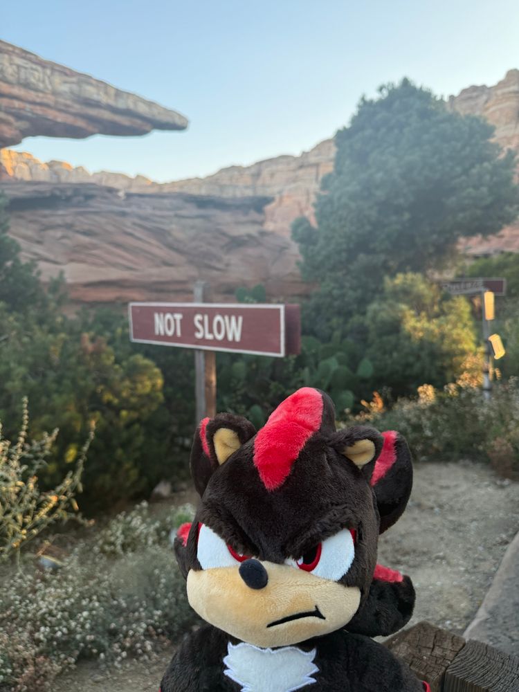 Shadow build a bear in front of a sign that says “not slow” 
