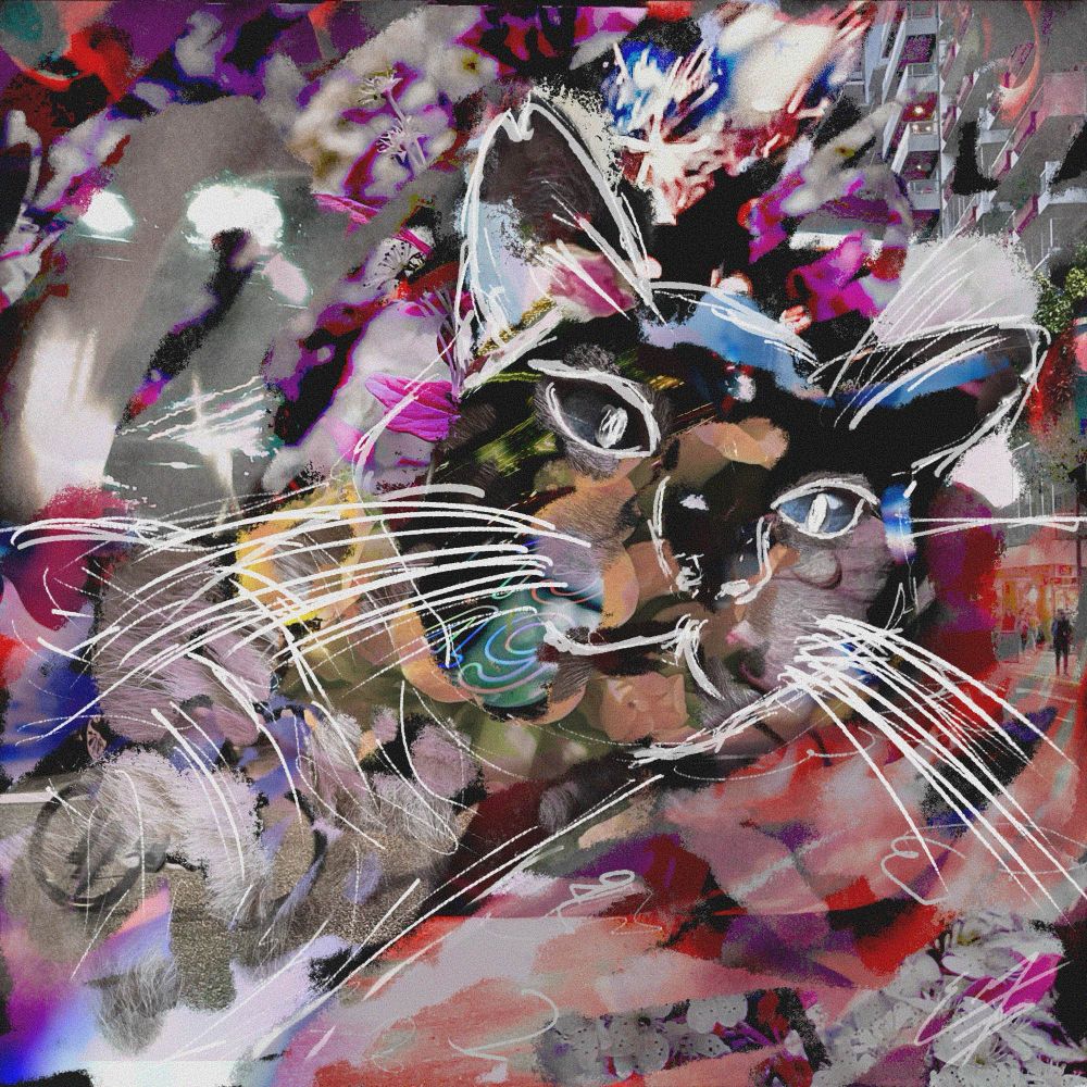 Retrato digital de mi gato, Pitu