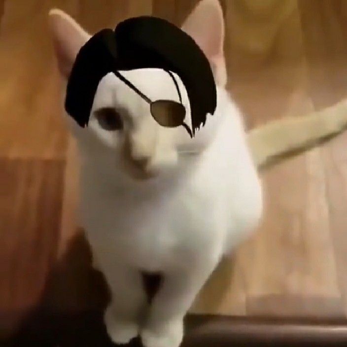 cat with majima's hair and eyepatch bc why the fuck not i guess???