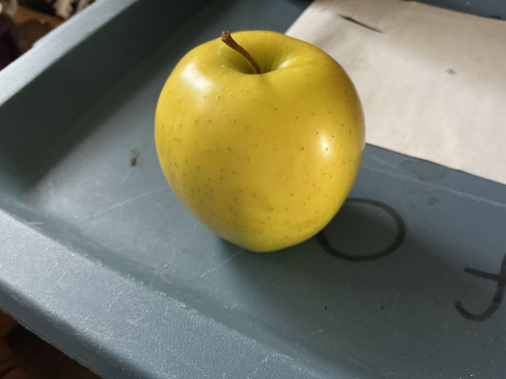Golden Delicious Apple 