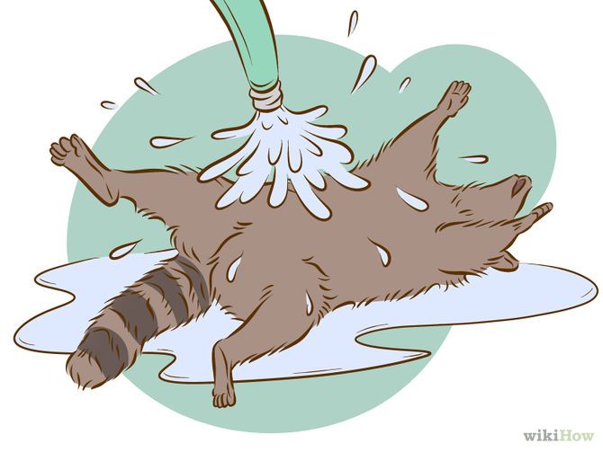 Distraction is the enemy of vision