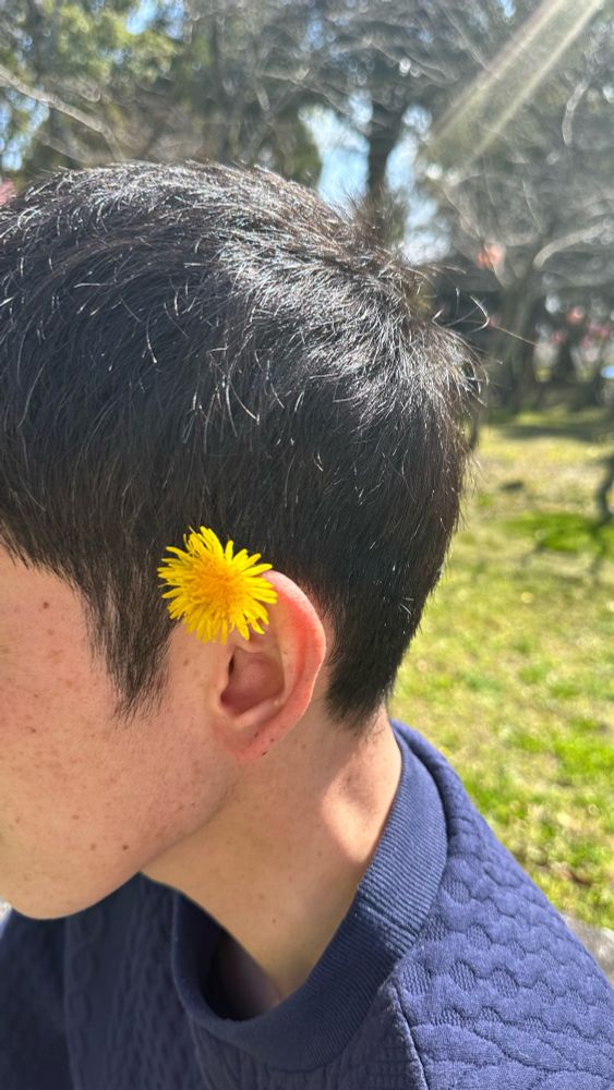 耳の上に黄色いたんぽぽを載せた男性の横顔