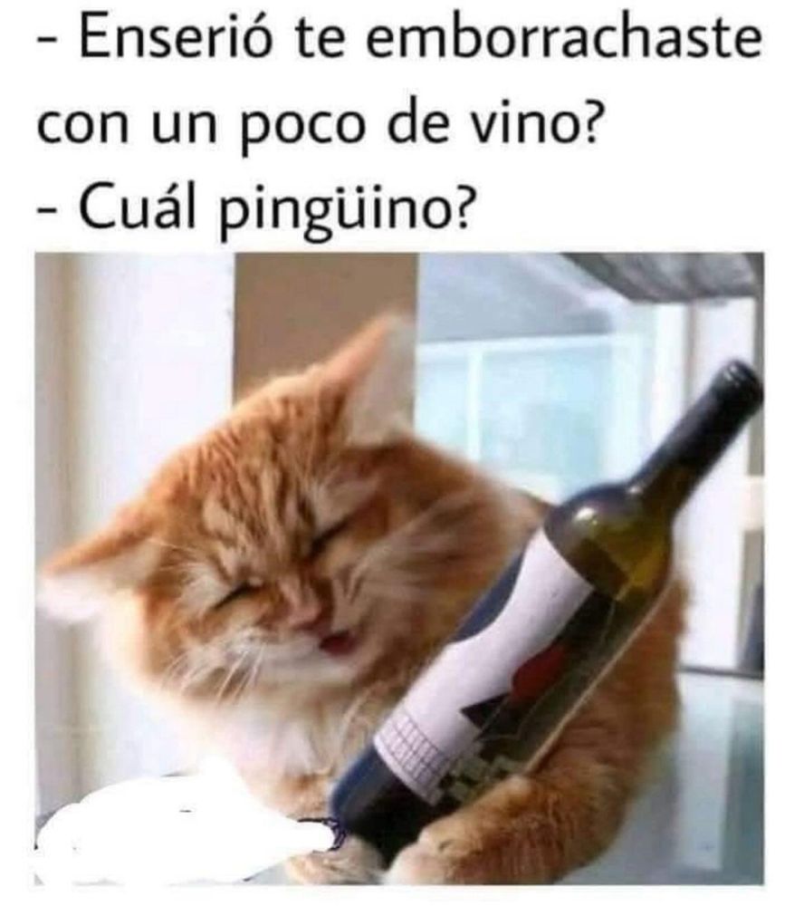 Ayyyy toda la culpa al vino 🍷 