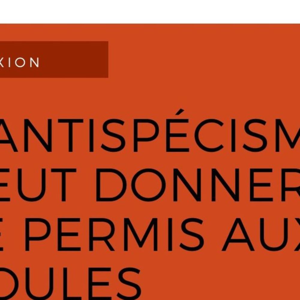 Raie futée on Instagram: "L'antispécisme veut donner le permis aux poules (non, c'est faux, mais o...