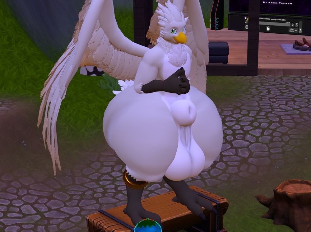 Sokob posing for the camera :>