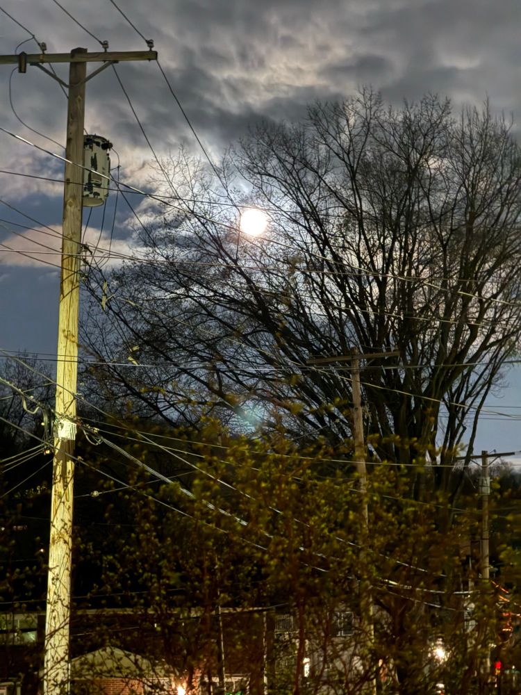 My iPhone takes decent night photos