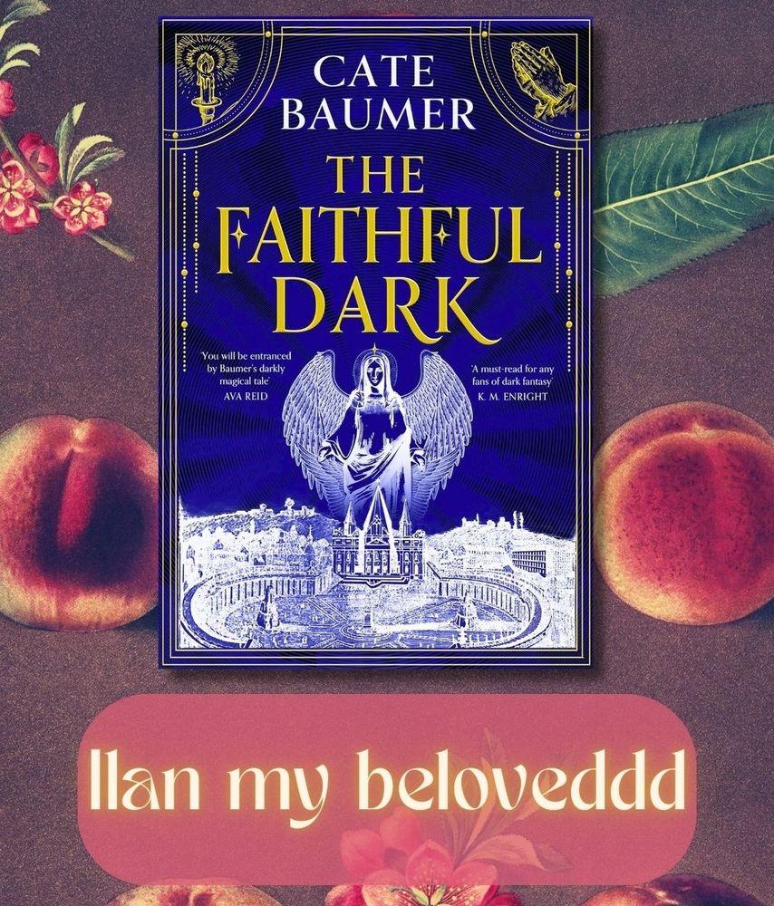 The Faithful Dark by Cate Baumer